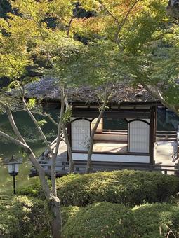 鳶魚閣 鳶魚閣,西の丸庭園,紅葉渓庭園の写真素材