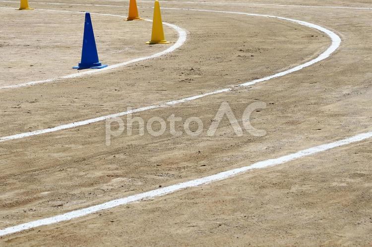 白線が引かれたグラウンド グラウンド,グランド,運動場の写真素材