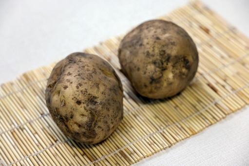 ゴザに置かれた泥のついた2つのじゃがいも ゴザに置かれた泥のついた2つのじゃがいも じゃがいも,芋,野菜の写真素材