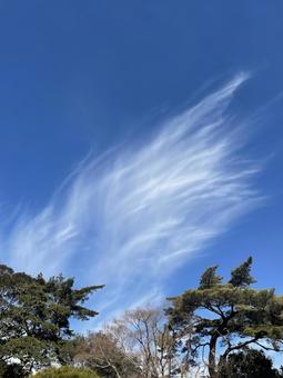 不思議雲① 不思議雲①の写真