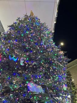 クリスマスツリーに飾った輝くオーナメント クリスマスツリーに飾った輝くオーナメントの写真