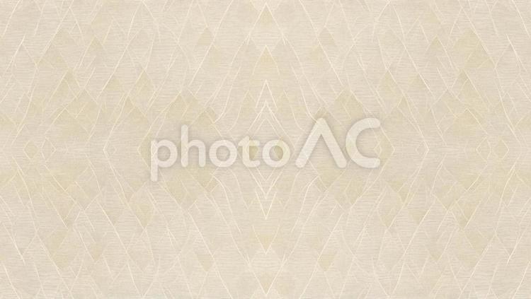 繊維が美しい伝統の和紙 和紙,紙,繊維の写真素材