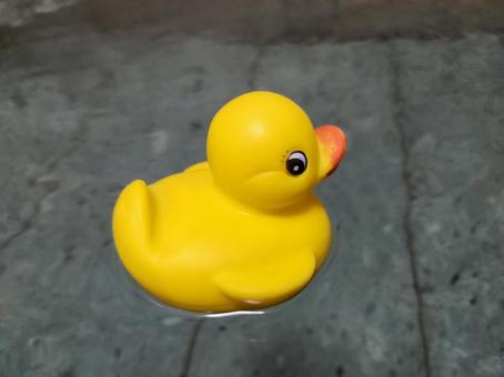 お風呂のアヒル アヒル,風呂,おもちゃの写真素材