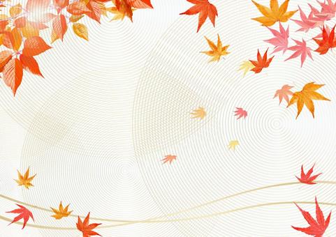ベージュの和紙背景に秋の紅葉の葉 ベージュの和紙背景に秋の紅葉の葉 和紙,紅葉,もみじの写真素材