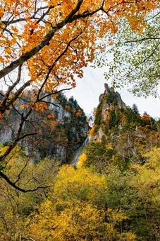 層雲峡の紅葉　 層雲峡,紅葉,銀河の滝の写真素材