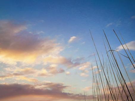 夕暮れ　風景 夕暮れ,たそがれ,風景の写真素材