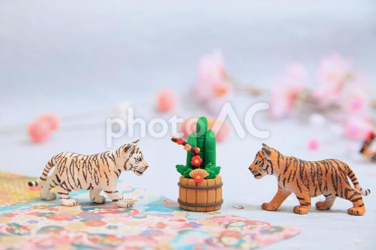 シュライヒフィギュア　2匹の虎と門松 虎,寅,フィギュアの写真素材