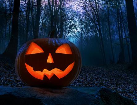 森の中のハロウィンのカボチャのランタンの写真