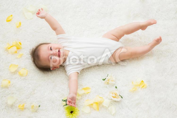 花びらと赤ちゃん（笑顔） 赤ちゃん,花,笑顔の写真素材