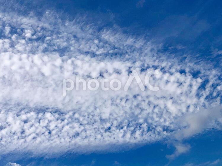 うろこ雲  いわし雲  ひつじ雲 自然,冬,何人もありませんの写真素材