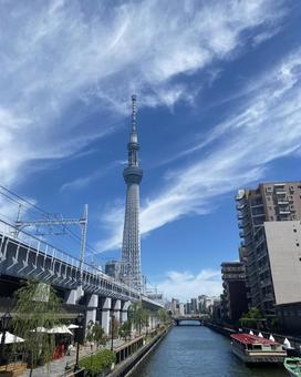 東京スカイツリー 青空 雲 川辺 東京スカイツリー 青空 雲 川辺の写真
