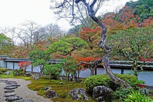 寺と樹木7 寺と樹木7の写真