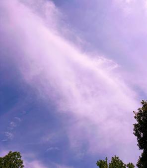 青空と緑の写真