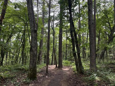 Karuizawa, JPG