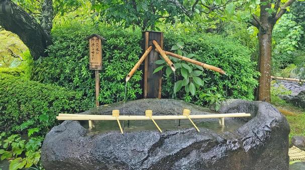 坂東33観音 04番 長谷寺 雨と手水場 坂東33観音 04番 長谷寺 雨と手水場の写真