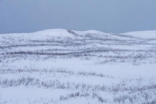 雪に覆われた原野の幻想風景 雪に覆われた原野の幻想風景の写真