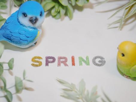 Photo, spring, text, decoration, 