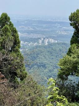 高尾山からの景色 高尾山からの景色の写真