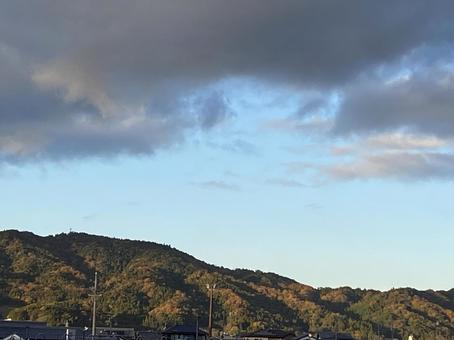 紅葉 紅葉の写真