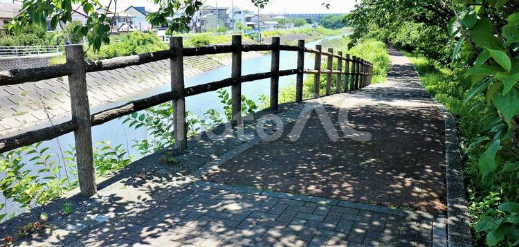 木陰の路　春 木陰,木の陰,葉の陰の写真素材