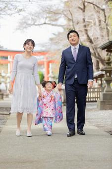 七五三 ポートレート 七五三 ポートレート 七五三,着物,家族の写真素材