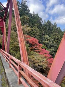 晩秋の田舎 風景,レトロ,ノスタルジーの写真素材