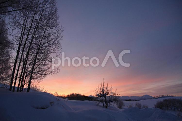 冬の夕焼け 冬,雪,夕焼けの写真素材