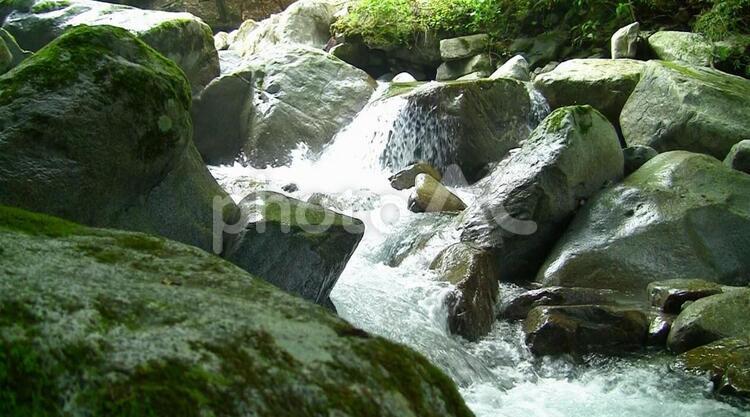 大きな岩のある川の風景 沢,川,苔の写真素材