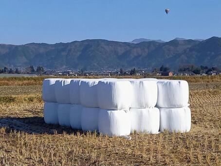 まとめられた牧草 牧草,ロール,晩秋の写真素材