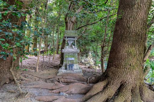 三重 椿大神社 椿立雲龍神社 社殿 三重 椿大神社 椿立雲龍神社 社殿 椿大神社,椿,神社の写真素材