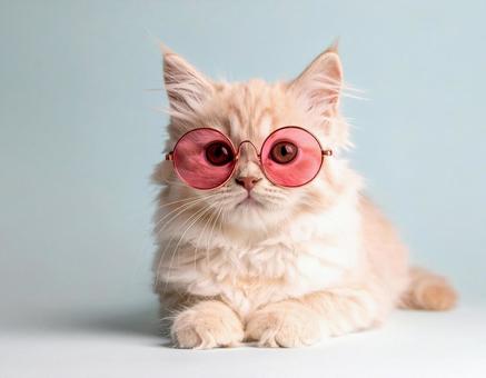ピンク色の眼鏡と猫 ピンク色の眼鏡と猫の写真