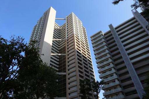 千葉県　柏の葉キャンパスの街並み 柏市,千葉県,柏の葉キャンパスの写真素材