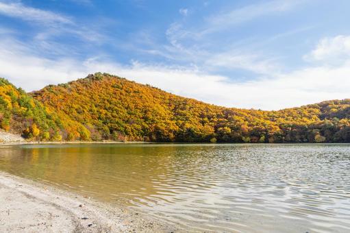 潟沼の秋⑴ 秋,紅葉,沼の写真素材