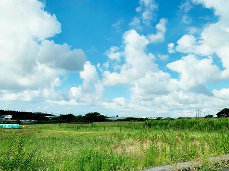 田舎の風景 田舎の風景の写真