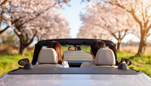 桜並木を走るオープンカー 桜並木を走るオープンカーの写真