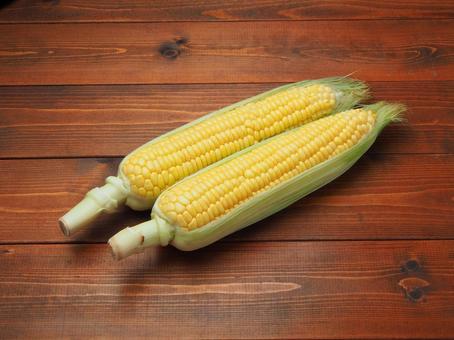 とうもろこし とうもろこし とうもろこし,テーブル,夏野菜の写真素材