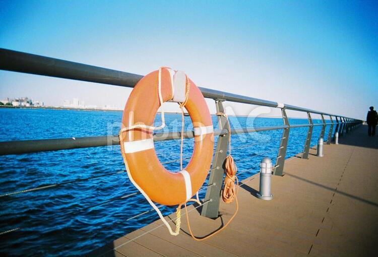 海の見える公園 海,公園,防波堤の写真素材
