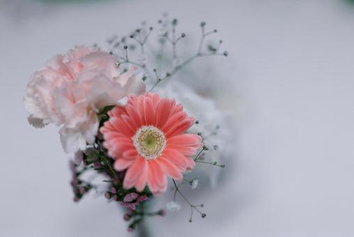 白いテーブルの上の花 花,フラワーアレンジメント,植物の写真素材