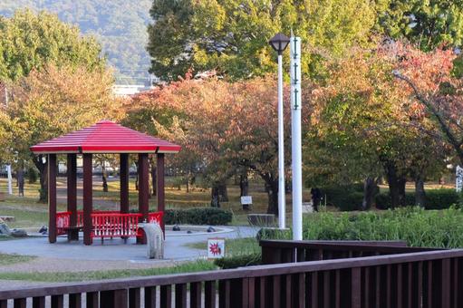 都市公園の休憩スペース・バーゴラ6 公園,休憩,バーゴラの写真素材