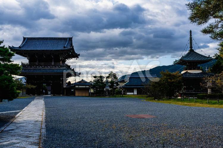 清凉寺　仁王門　多宝塔 清凉寺,京都,仁王門の写真素材