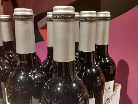 赤ワイン 赤ワイン,ポルトガル,美味しいの写真素材