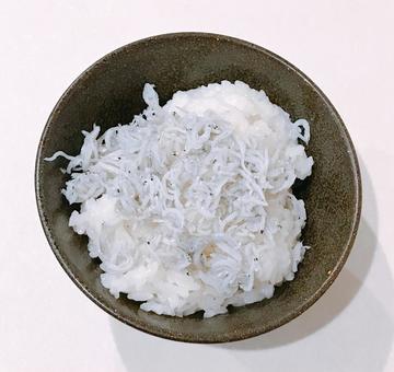 しらすご飯 しらすご飯 しらすご飯,釜揚げしらす,しらすの写真素材