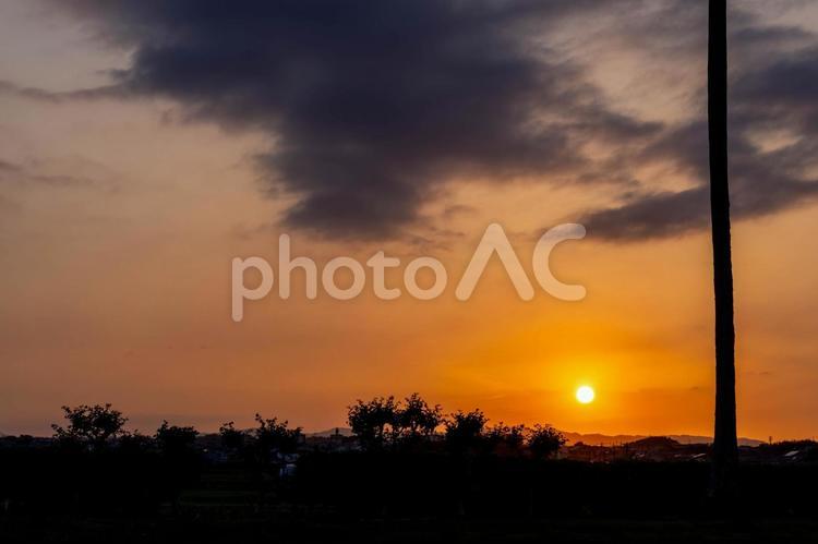夕日に照らされる電柱 夕焼け,夕暮れ,夕日の写真素材