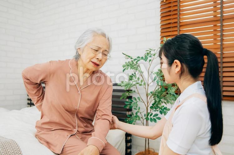 痛がる高齢者女性とエプロン姿の女性（腰痛） 高齢者,腰痛,ヘルニアの写真素材