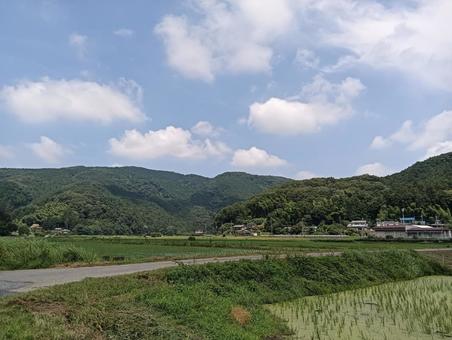 nature, JPG nature, JPG