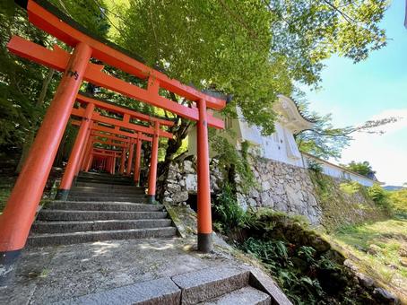 兵庫 出石城跡と諸杉神社の鳥居 兵庫 出石城跡と諸杉神社の鳥居の写真