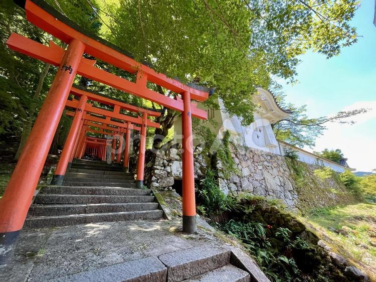 兵庫　出石城跡と諸杉神社の鳥居 諸杉神社,鳥居,朱色の写真素材