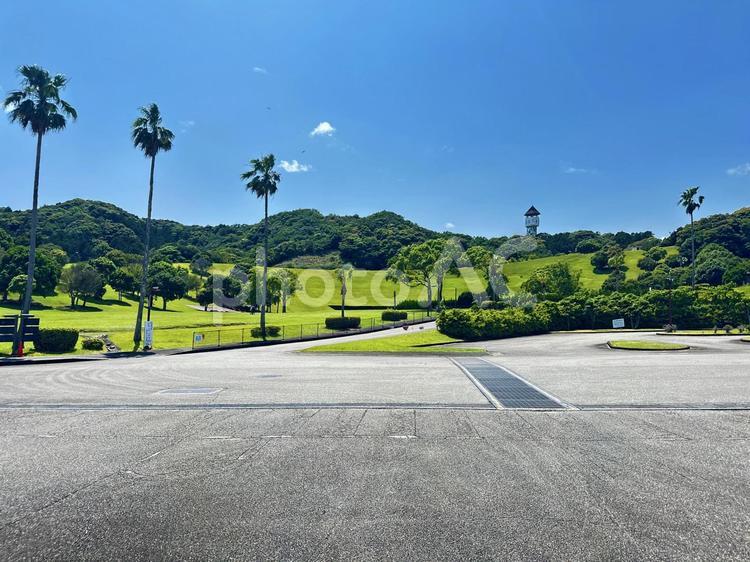 公園　夏の景色 太地町森浦,公園,公共施設の写真素材