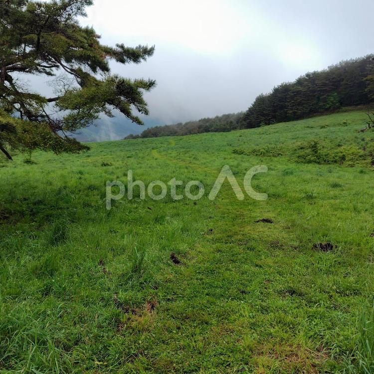 雨上がりの草原 登山,雨,草原の写真素材