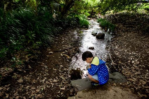 <素材>森の中の小川で元気に遊ぶ男の子 <素材>森の中の小川で元気に遊ぶ男の子 子供,男性,人物の写真素材